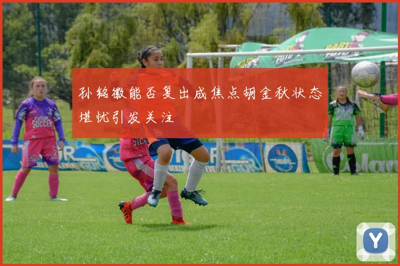 孙铭徽能否复出成焦点胡金秋状态堪忧引发关注